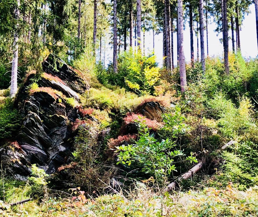 Hof Vierzehnender Im Hohen Venn - 70Qm Maisonette - 2 Schlafzimmer - Wohnkueche - Balkon Mit Grill - Monschau - Eifel - Hunde Willkommen - Islandpferde Zewnętrze zdjęcie