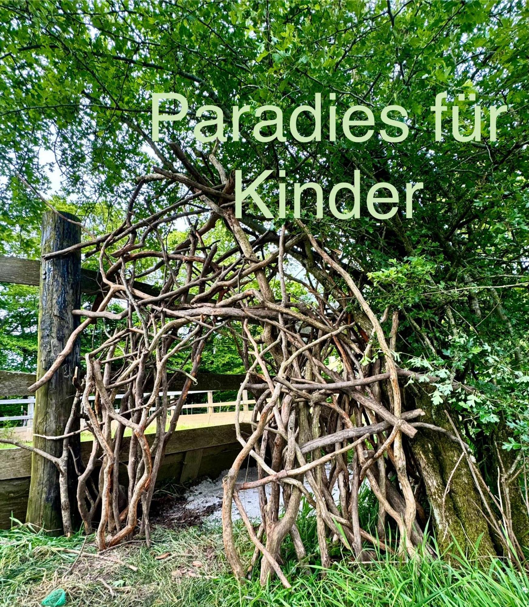 Hof Vierzehnender Im Hohen Venn - 70Qm Maisonette - 2 Schlafzimmer - Wohnkueche - Balkon Mit Grill - Monschau - Eifel - Hunde Willkommen - Islandpferde Zewnętrze zdjęcie