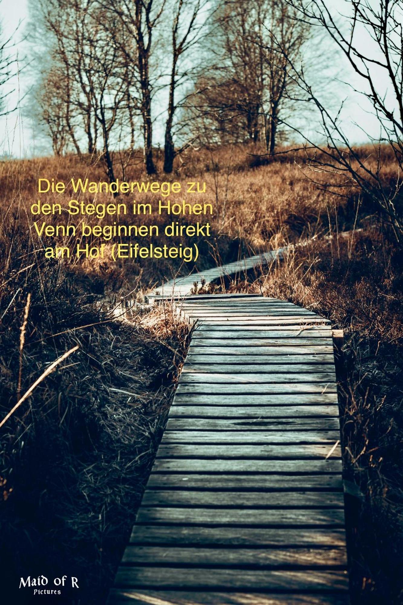 Hof Vierzehnender Im Hohen Venn - 70Qm Maisonette - 2 Schlafzimmer - Wohnkueche - Balkon Mit Grill - Monschau - Eifel - Hunde Willkommen - Islandpferde Zewnętrze zdjęcie