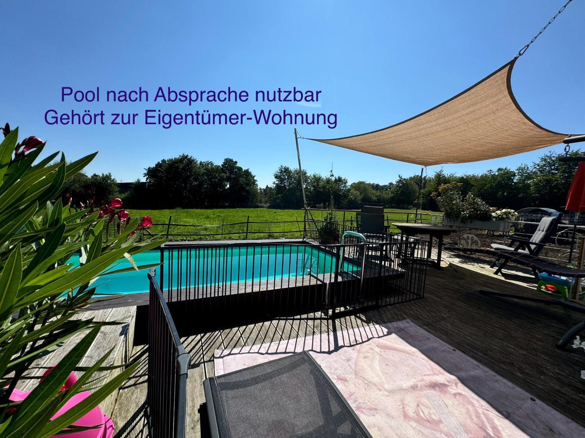 Hof Vierzehnender Im Hohen Venn - 70Qm Maisonette - 2 Schlafzimmer - Wohnkueche - Balkon Mit Grill - Monschau - Eifel - Hunde Willkommen - Islandpferde Zewnętrze zdjęcie