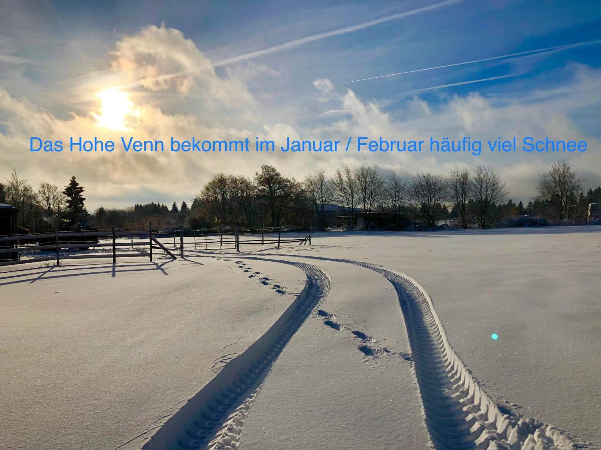 Hof Vierzehnender Im Hohen Venn - 70Qm Maisonette - 2 Schlafzimmer - Wohnkueche - Balkon Mit Grill - Monschau - Eifel - Hunde Willkommen - Islandpferde Zewnętrze zdjęcie